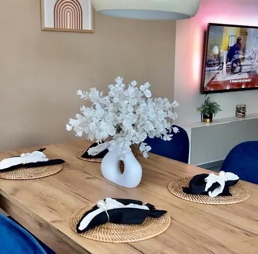 Boholand Apartment Brasov